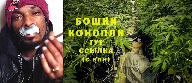 цена наркотик  Бирюсинск  Конопля Ganja 